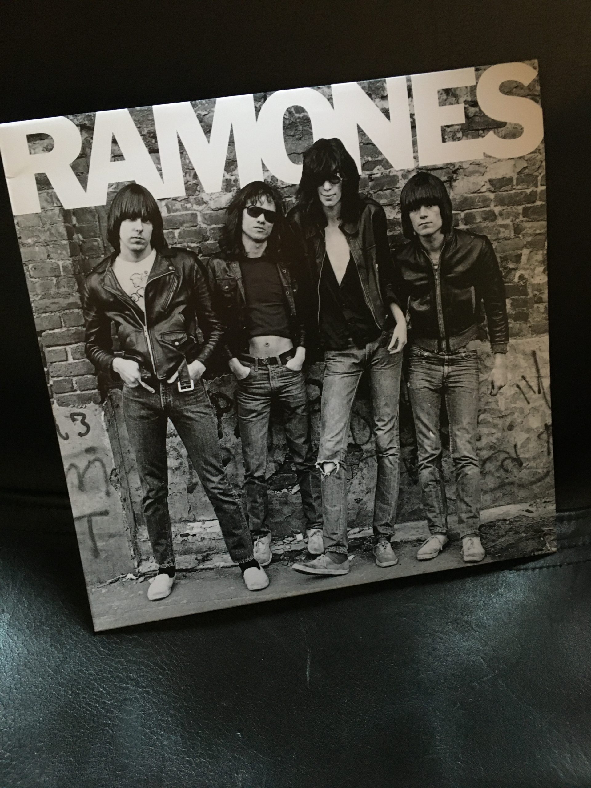 The Ramones Vinyl - Search and Destroy